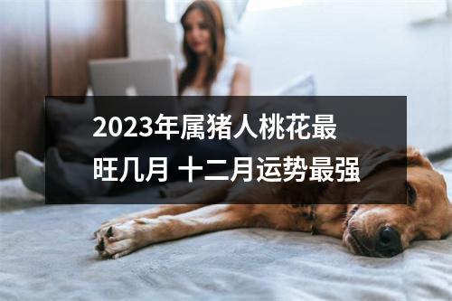 2025年属猪人桃花旺几月十二月运势强