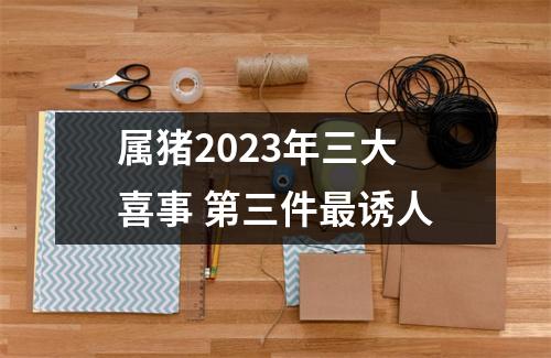 属猪2025年三大喜事第三件诱人