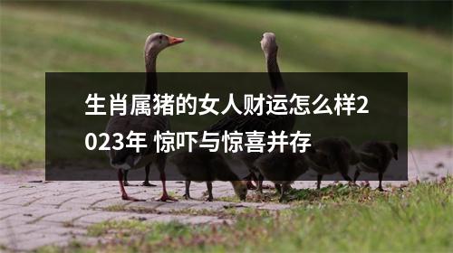 生肖属猪的女人财运怎么样2025年惊吓与惊喜并存