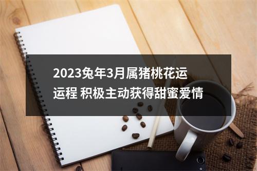 2025兔年3月属猪桃花运运程积极主动获得甜蜜爱情