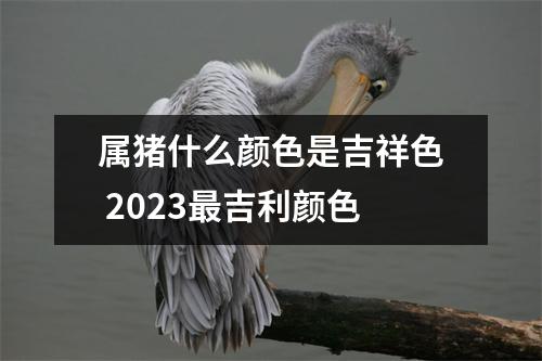 属猪什么颜色是吉祥色2025吉利颜色