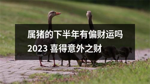 属猪的下半年有偏财运吗2025喜得意外之财