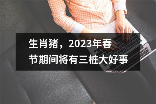 生肖猪，2025年春节期间将有三桩大好事