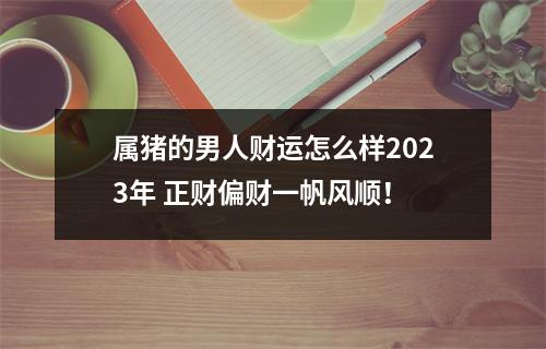 属猪的男人财运怎么样2025年正财偏财一帆风顺！