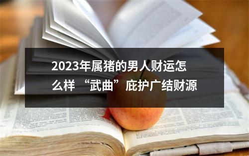 2025年属猪的男人财运怎么样“武曲”庇护广结财源