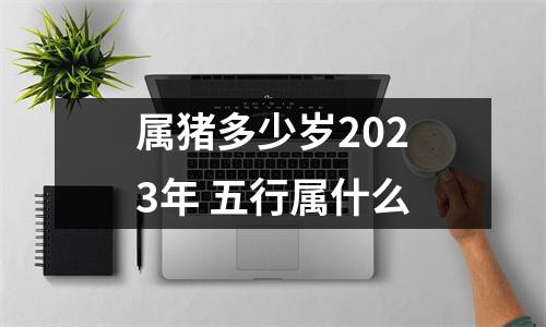 属猪多少岁2025年五行属什么