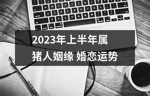 2025年上半年属猪人姻缘婚恋运势