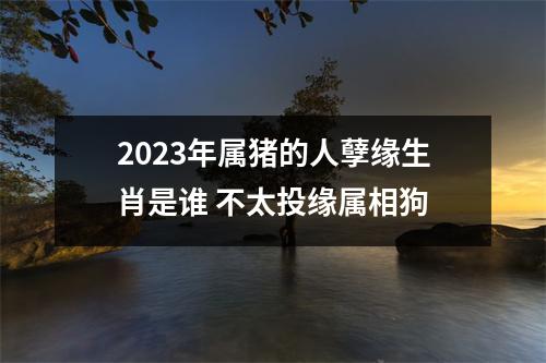 2025年属猪的人孽缘生肖是谁不太投缘属相狗