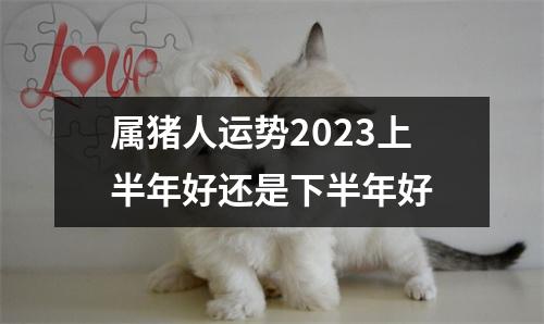 属猪人运势2025上半年好还是下半年好