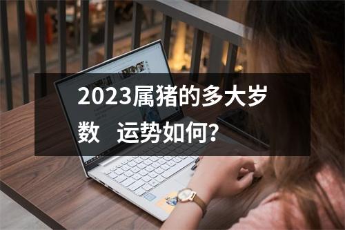 2025属猪的多大岁数运势如何？