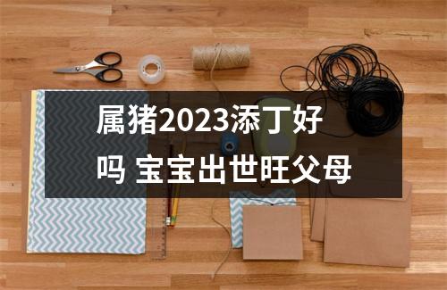 属猪2025添丁好吗宝宝出世旺父母