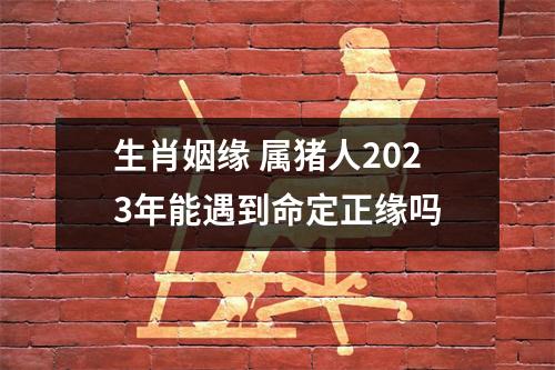 生肖姻缘属猪人2025年能遇到命定正缘吗