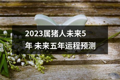 2025属猪人未来5年未来五年运程预测