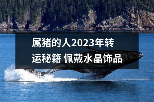 属猪的人2025年转运秘籍佩戴水晶饰品