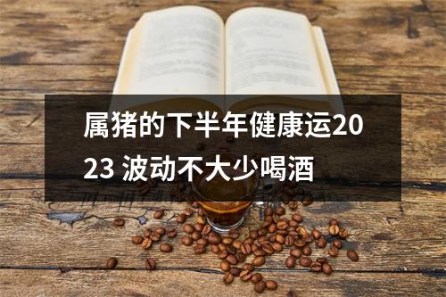 属猪的下半年健康运2025波动不大少喝酒