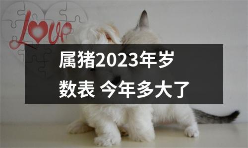 属猪2025年岁数表今年多大了