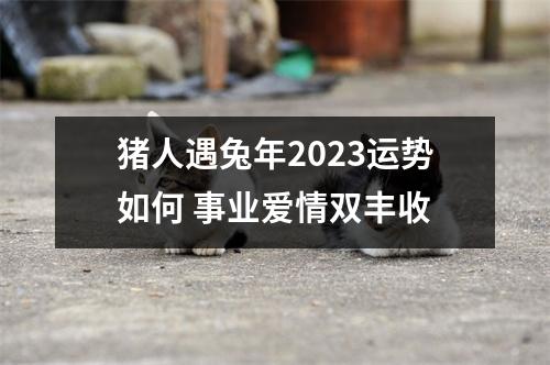 猪人遇兔年2025运势如何事业爱情双丰收