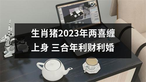 生肖猪2025年两喜缠上身三合年利财利婚