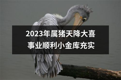 <h3>2025年属猪天降大喜事业顺利小金库充实