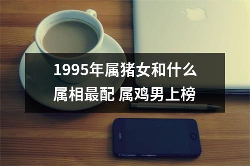 <h3>1995年属猪女和什么属相配属鸡男上榜