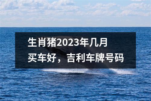 生肖猪2025年几月买车好，吉利车牌号码