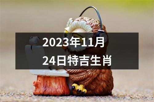 2025年11月24日特吉生肖