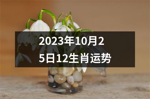 2023年10月25日12生肖运势