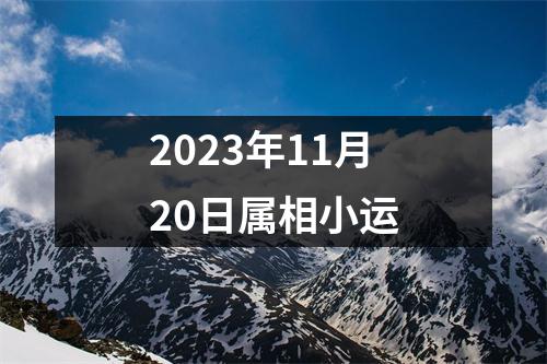 2025年11月20日属相小运