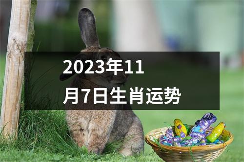 2025年11月7日生肖运势