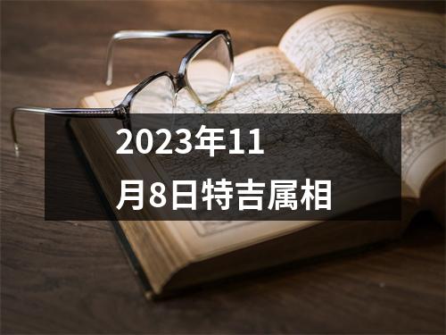 2025年11月8日特吉属相