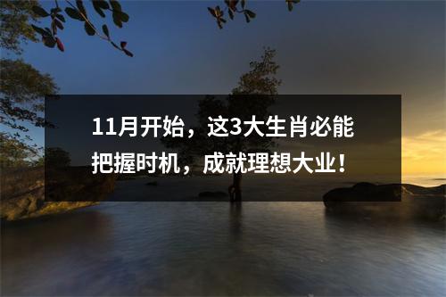 11月开始，这3大生肖必能把握时机，成就理想大业！