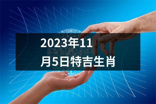 2025年11月5日特吉生肖