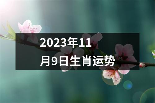 2025年11月9日生肖运势